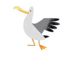 Möwe