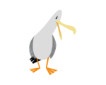 Möwe